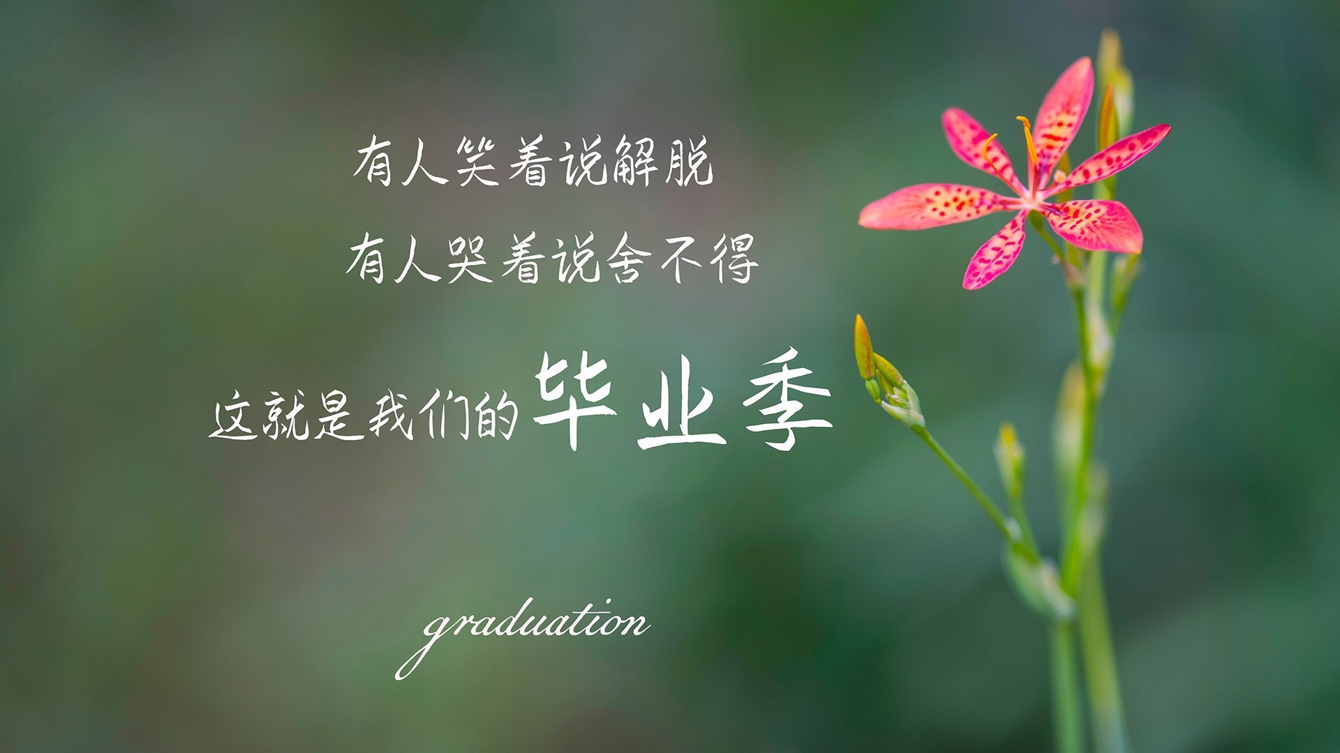 悬念的黄昏与绝杀的黎明,当范戴克扼杀戏剧,美国队重燃火焰